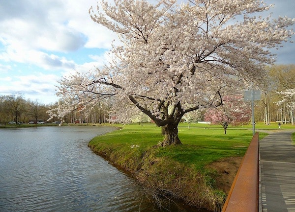 1655328367309 Newjersey