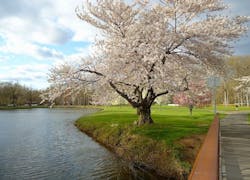 1655328367309 Newjersey 1655328367309 Newjersey