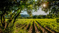 healdsburg-cs-cz