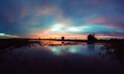 1655328385450 Water 7 1655328385450 Water 7