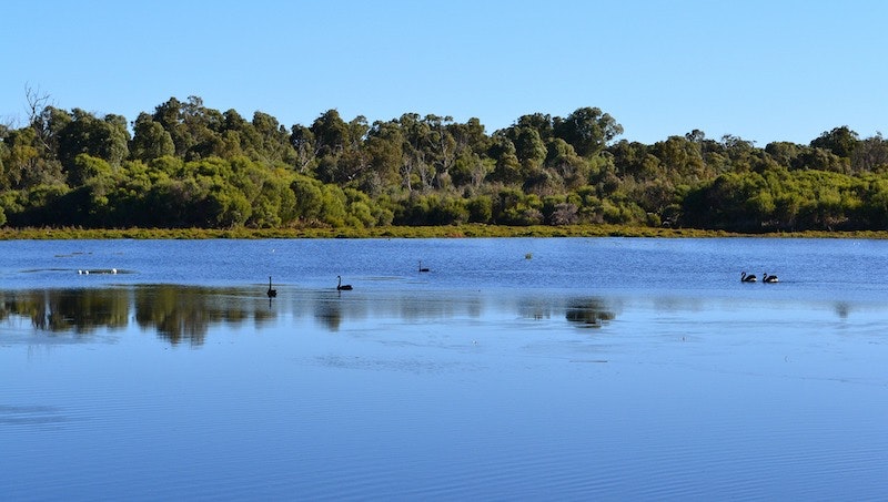 1655328393136 Groundwatercarbonsurfacewater