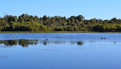 1655328393136 Groundwatercarbonsurfacewater 1655328393136 Groundwatercarbonsurfacewater