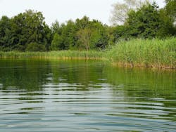 1655328401235 Waterquality 0 1655328401235 Waterquality 0