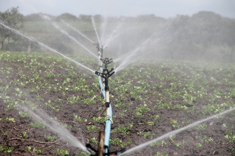 1655328412119 Irrigation588941 1920