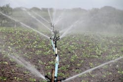 1655328412119 Irrigation588941 1920 1655328412119 Irrigation588941 1920