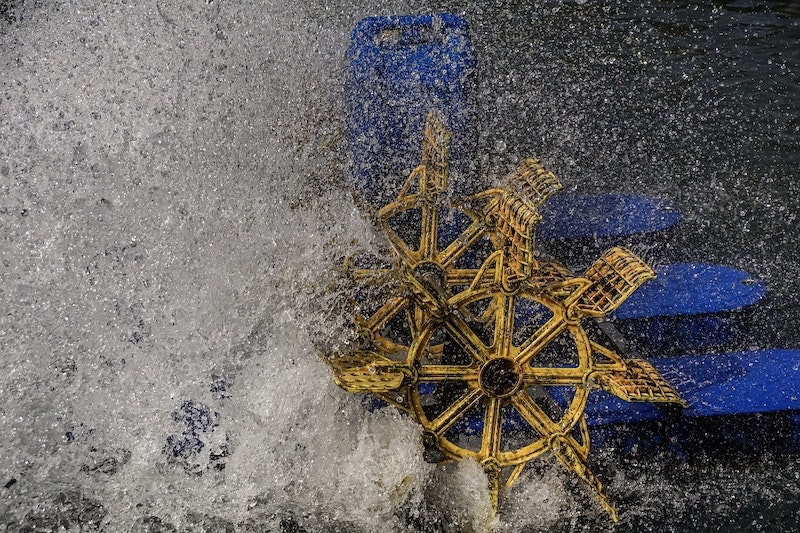 1655328419742 Paddlewheel4544792 1280