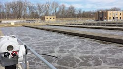 Xylem-Casperon-02 Xylem-Casperon-02