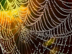 1655328434679 Network586177 1280 1655328434679 Network586177 1280