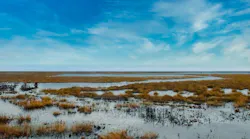 scenic-4737060_1920_0