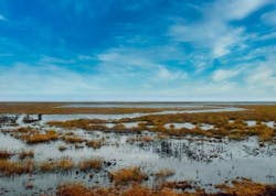 1655328437189 Scenic4737060 1920 0 1655328437189 Scenic4737060 1920 0