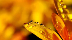 drip-1972411_1280