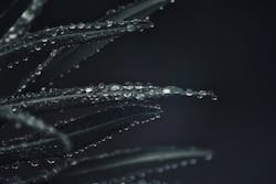 1655328443174 Plant4781624 1920 1655328443174 Plant4781624 1920