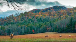 north-carolina-1872517_1280