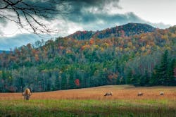 1655328445083 Northcarolina1872517 1280 1655328445083 Northcarolina1872517 1280