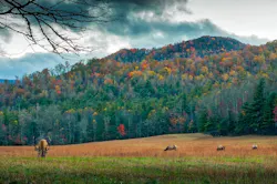 1655328445083 Northcarolina1872517 1280 1655328445083 Northcarolina1872517 1280