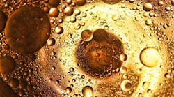 olive-oil-601487_1920