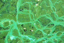 1655328489427 Sorbent 1655328489427 Sorbent