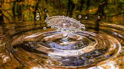 drop-3698073_1280_0