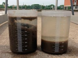 1655328504919 Settled Mixture 1655328504919 Settled Mixture