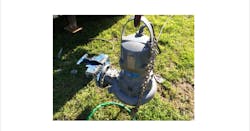 1655328506483 Tammany 1655328506483 Tammany