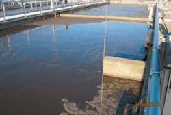 9%20springs 9%20springs