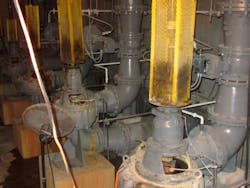 1655328511865 Old Pumps 1655328511865 Old Pumps