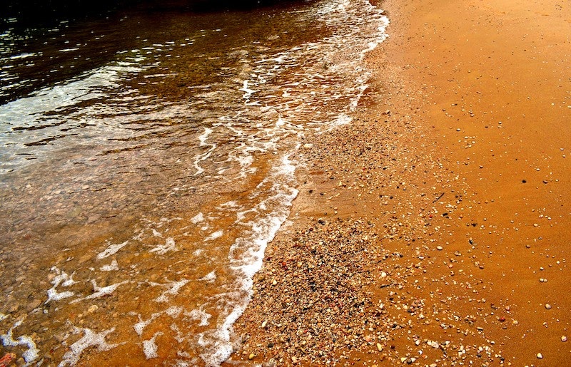 1655328512742 Red Tide