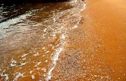 1655328512742 Red Tide 1655328512742 Red Tide