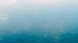 raindrop