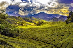 1655328515982 Malaysia Water 1655328515982 Malaysia Water