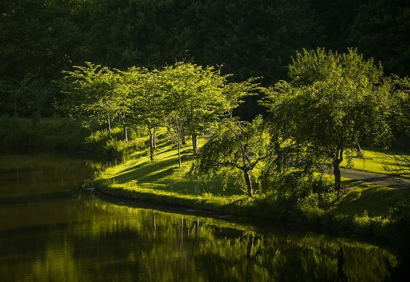 1655328524728 Suffolk Virginia