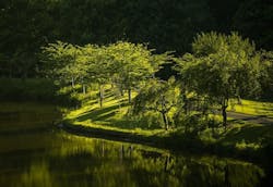 1655328524728 Suffolk Virginia 1655328524728 Suffolk Virginia