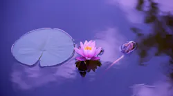 water