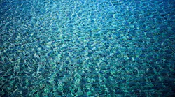 clean water act