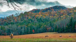 north carolina