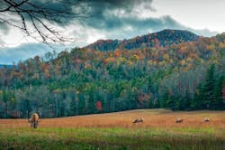 1655328532301 North Carolina 1655328532301 North Carolina