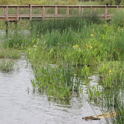 Cell%205%20Boardwalk Cell%205%20Boardwalk