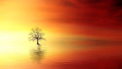 1655328538747 Lead And Copper Rule 1655328538747 Lead And Copper Rule