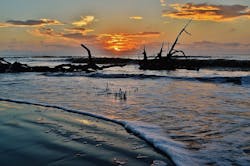 1655328540323 South Carolina 1655328540323 South Carolina