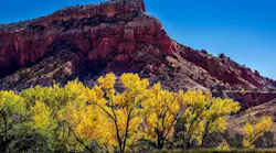 new mexico