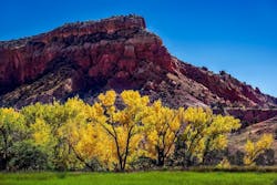 1655328543207 New Mexico 1655328543207 New Mexico