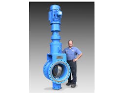 1655328547143 800 1655328547143 800