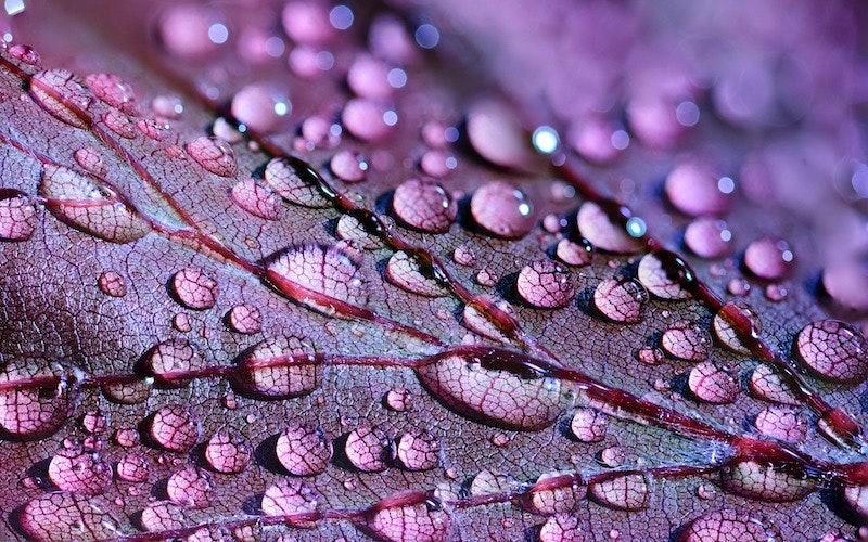 1655328556563 Water Drop 0