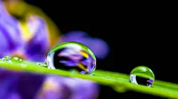 water drops_0