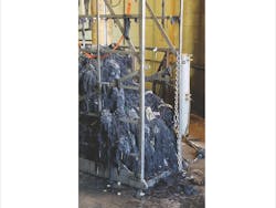 1655328565875 800 Background Copy 1655328565875 800 Background Copy