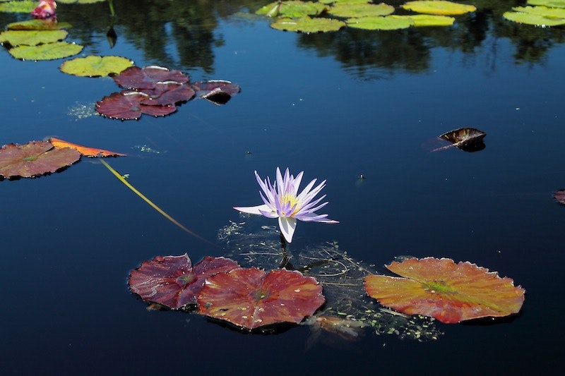 1655328566870 Texas Water 1