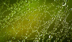 1655328573177 Waterdrop 1655328573177 Waterdrop