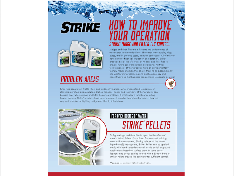 1655328573350 800 Background