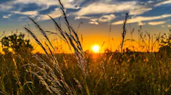 farm_7