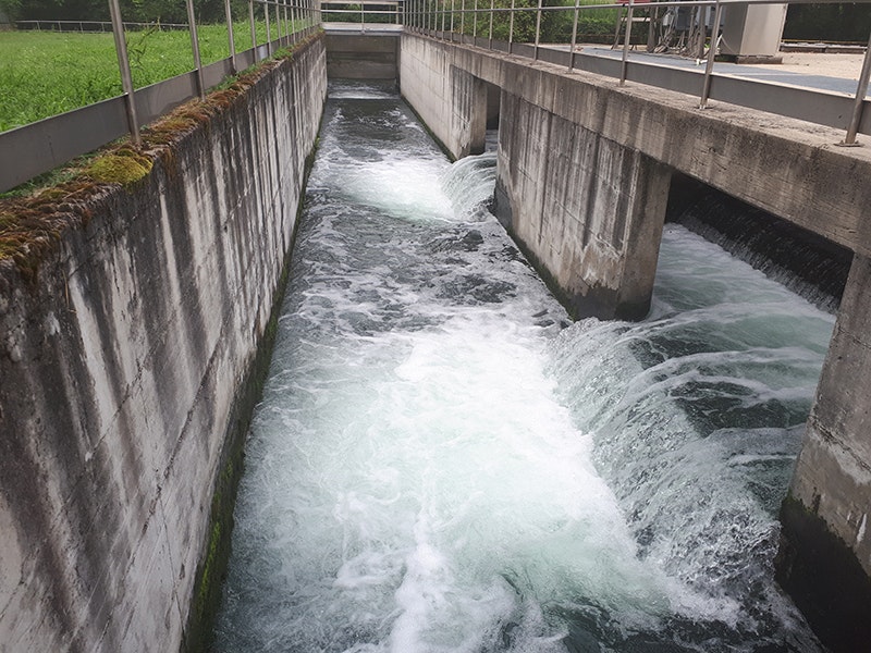 1655328580545 Denoralariana800px